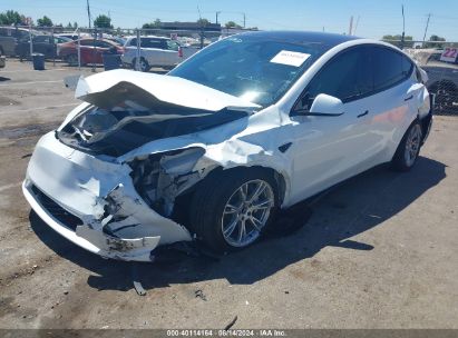 2024 TESLA MODEL Y White  Electric 7SAYGDED5RF015600 photo #3