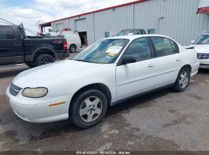 2004 CHEVROLET CLASSIC White  Gasoline 1G1ND52FX4M661874 photo #3