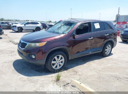 2011 KIA SORENTO LX Maroon  Gasoline 5XYKT4A17BG007183 photo #3