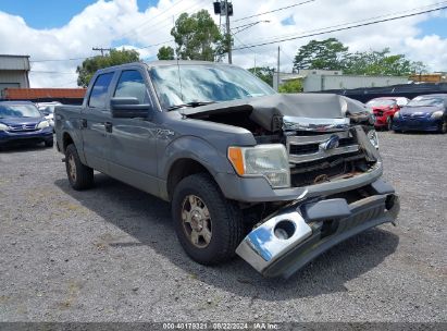 2013 FORD F-150 XLT Gray  Flexible Fuel 1FTFW1EF5DKE05504 photo #1