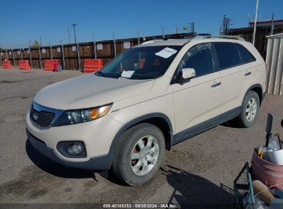 2011 KIA SORENTO LX Cream  Gasoline 5XYKT3A16BG099946 photo #3