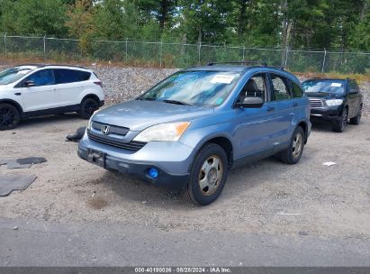 2008 HONDA CR-V LX Blue  Gasoline JHLRE38318C001941 photo #3