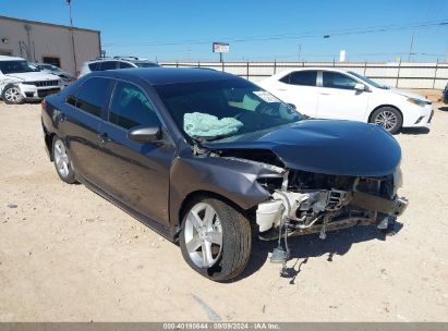 2014 TOYOTA CAMRY SE Gray  Gasoline 4T1BF1FK9EU382496 photo #1