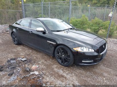 2013 JAGUAR XJ XJL PORTFOLIO Black  Gasoline SAJWJ2GD5D8V50959 photo #1