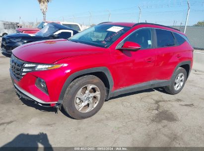 2023 HYUNDAI TUCSON SEL Red  Gasoline 5NMJBCAE0PH227788 photo #3