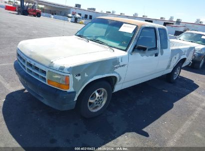 1996 DODGE DAKOTA White  Gasoline 1B7GL23X6TS652589 photo #3