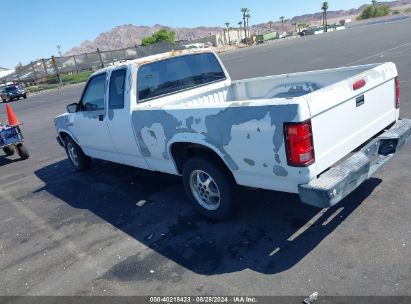 1996 DODGE DAKOTA White  Gasoline 1B7GL23X6TS652589 photo #4