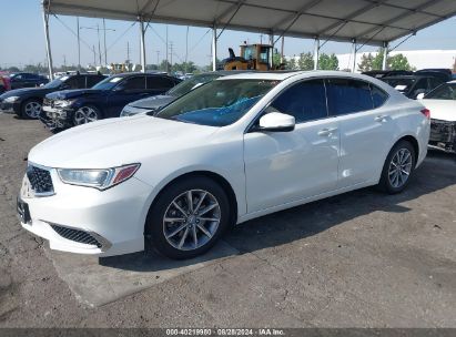 2019 ACURA TLX STANDARD White  Gasoline 19UUB1F30KA011307 photo #3