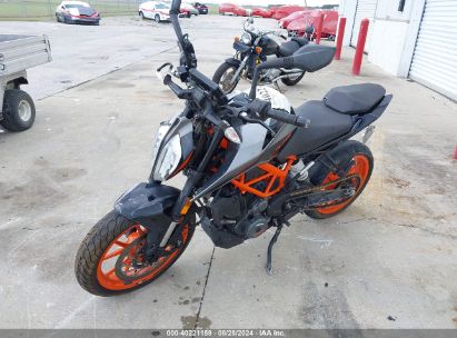 2021 KTM 390 DUKE Black  Gasoline MD2JPJ409MC244275 photo #3