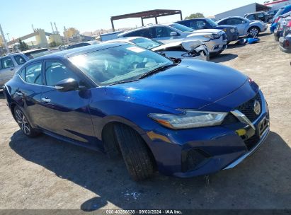 2020 NISSAN MAXIMA SL XTRONIC CVT Blue  Gasoline 1N4AA6DV0LC370898 photo #1