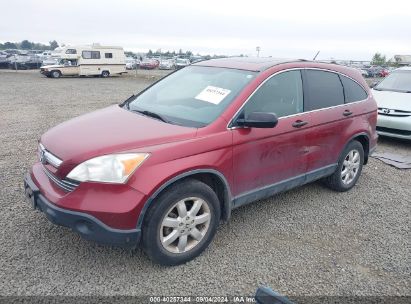 2007 HONDA CR-V EX Red  Gasoline JHLRE48587C107308 photo #3