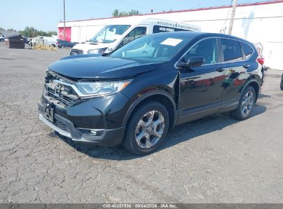 2019 HONDA CR-V EX-L Black  Gasoline JHLRW2H80KX019625 photo #3