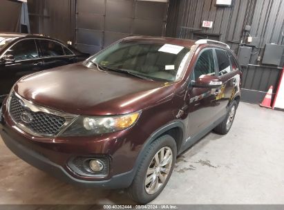 2011 KIA SORENTO EX V6 Burgundy  Gasoline 5XYKUDA22BG036550 photo #3