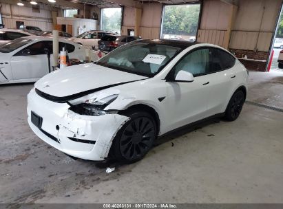 2023 TESLA MODEL Y AWD/PERFORMANCE DUAL MOTOR ALL-WHEEL DRIVE White  Electric 7SAYGDEF8PF594418 photo #3