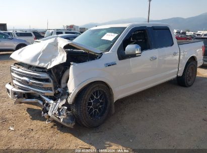 2015 FORD F-150 PLATINUM White  Gasoline 1FTEW1EG3FFB85599 photo #3