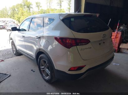 2018 HYUNDAI SANTA FE SPORT 2.4L White  Gasoline 5NMZTDLBXJH065362 photo #4