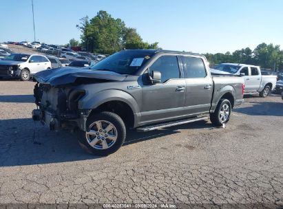 2020 FORD F-150 XLT Gray  Gasoline 1FTEW1CP6LKD16322 photo #3