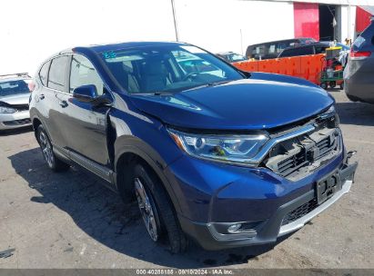 2019 HONDA CR-V EX Blue  Gasoline 5J6RW2H59KA016772 photo #1