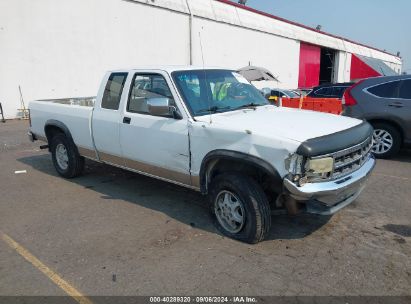 1995 DODGE DAKOTA White  Gasoline 1B7GG23Y2SS136838 photo #1