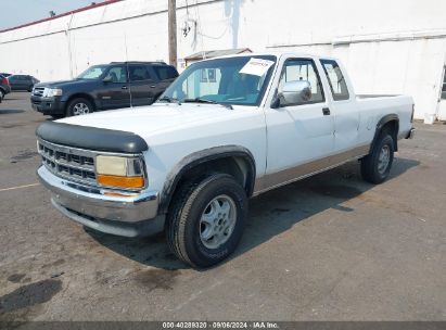 1995 DODGE DAKOTA White  Gasoline 1B7GG23Y2SS136838 photo #3