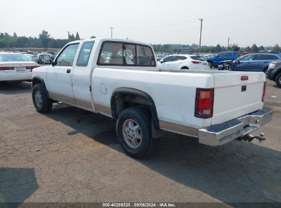 1995 DODGE DAKOTA White  Gasoline 1B7GG23Y2SS136838 photo #4