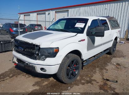 2013 FORD F-150 FX4 White  Gasoline 1FTFW1ET3DFC15540 photo #3