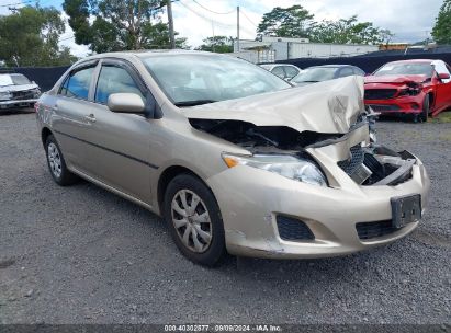 2009 TOYOTA COROLLA LE Gold  Gasoline 1NXBU40E09Z081468 photo #1