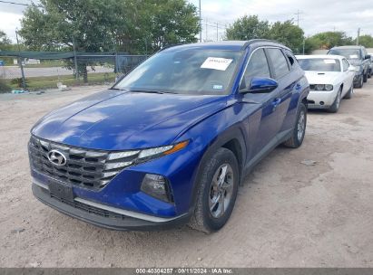 2023 HYUNDAI TUCSON SEL Blue  Gasoline 5NMJB3AE9PH189932 photo #3