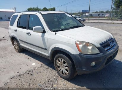 2006 HONDA CR-V EX White  Gasoline SHSRD78846U442006 photo #1