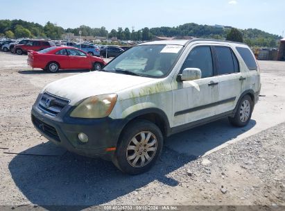 2006 HONDA CR-V EX White  Gasoline SHSRD78846U442006 photo #3