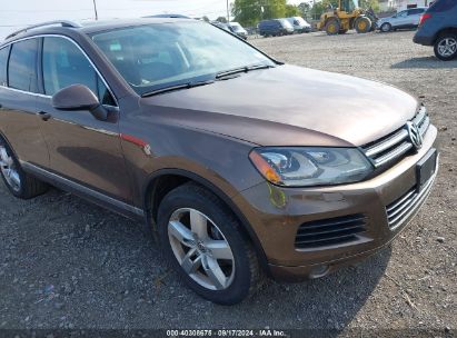 2014 VOLKSWAGEN TOUAREG TDI LUX Brown  Diesel WVGEP9BP8ED008665 photo #1