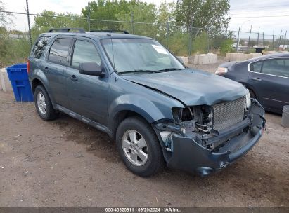 2012 FORD ESCAPE XLT Blue  Gasoline 1FMCU0D7XCKB58083 photo #1