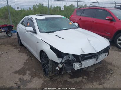 2023 CADILLAC CT4 PREMIUM LUXURY White  Gasoline 1G6DB5RL7P0104584 photo #1