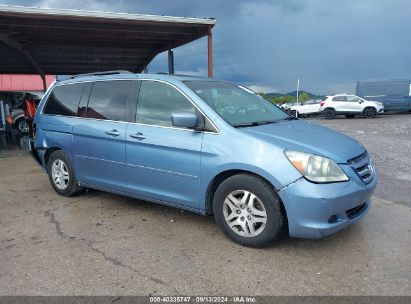 2005 HONDA ODYSSEY EX-L Light Blue  Gasoline 5FNRL38605B115330 photo #1