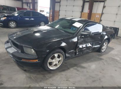 2005 FORD MUSTANG V6 DELUXE/V6 PREMIUM Black  Gasoline 1ZVFT80N955139076 photo #3