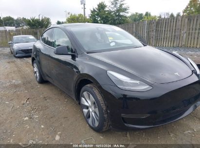 2024 TESLA MODEL Y LONG RANGE DUAL MOTOR ALL-WHEEL DRIVE Black  Electric 7SAYGDEE5RA214619 photo #1