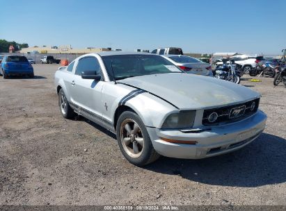 2006 FORD MUSTANG V6 Silver  Gasoline 1ZVFT80N065178169 photo #1