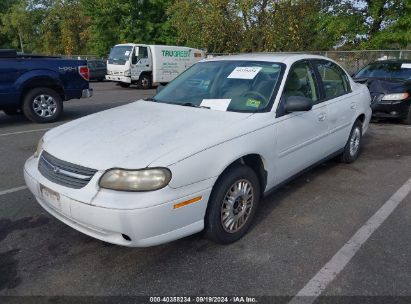 2005 CHEVROLET CLASSIC White  Gasoline 1G1ND52F95M116069 photo #3