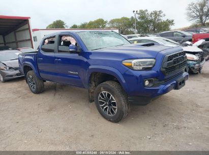 2022 TOYOTA TACOMA TRD SPORT Navy  Gasoline 3TMCZ5AN0NM521363 photo #1