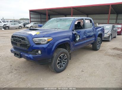 2022 TOYOTA TACOMA TRD SPORT Navy  Gasoline 3TMCZ5AN0NM521363 photo #3