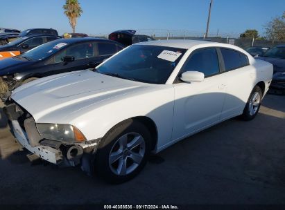 2011 DODGE CHARGER White  Flexible Fuel 2B3CL3CG1BH587324 photo #3