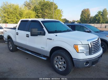 2011 FORD F-150 XLT White  Gasoline 1FTFW1ET5BFA74337 photo #1