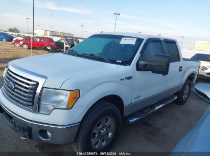 2011 FORD F-150 XLT White  Gasoline 1FTFW1ET5BFA74337 photo #3