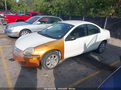 2005 DODGE NEON SXT White  Gasoline 1B3ES56C45D154419 photo #3