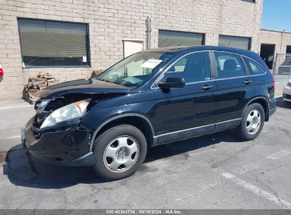 2011 HONDA CR-V LX Black  Gasoline 5J6RE3H31BL041483 photo #3