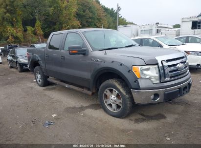 2009 FORD F150 SUPERCREW Gray  Flexible Fuel 1FTPW14VX9FA44719 photo #1