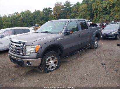 2009 FORD F150 SUPERCREW Gray  Flexible Fuel 1FTPW14VX9FA44719 photo #3