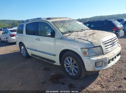 2010 INFINITI QX56 White  Gasoline 5N3ZA0NF3AN902053 photo #1