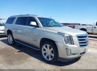 2017 CADILLAC ESCALADE ESV LUXURY Beige  Gasoline 1GYS4HKJ7HR326302 photo #1