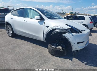 2023 TESLA MODEL Y AWD/LONG RANGE DUAL MOTOR ALL-WHEEL DRIVE White  Electric 7SAYGDEE1PF760785 photo #1